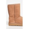 Bottes UGG Classic Short II | Article 1016223 Premium