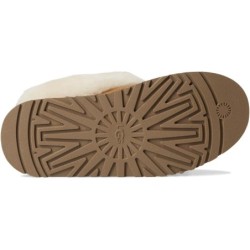 UGG Tazzelle Slipper | Nouvelle Arrivage