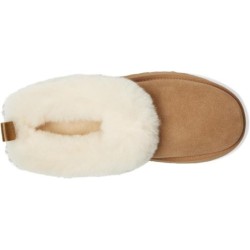 UGG Tazzelle Slipper | Nouvelle Arrivage